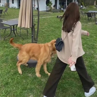 幸福生活在招手